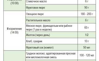 Меню 10 месячного ребенка на каждый день при грудном и искусственном вскармливании, рецепты