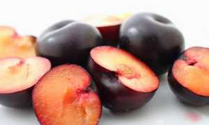 Можно ли есть сливы при грудном вскармливании в 1, 2, 3, 4 месяц, отзывы с форумов