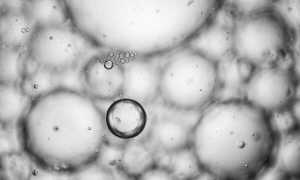 Желточный мешок по неделям беременности