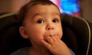 Как научить ребенка жевать твердую пищу в 1, 2 года, Комаровский
