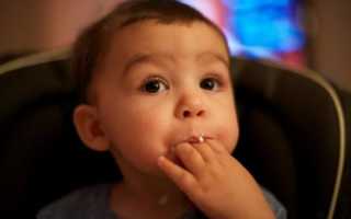 Как научить ребенка жевать твердую пищу в 1, 2 года, Комаровский