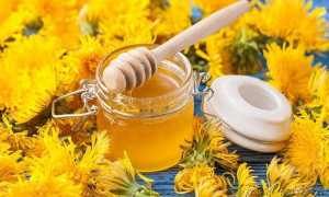 Мед при грудном вскармливании: все за и против употребления продукта