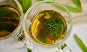 Чай с фенхелем для новорожденных: как давать, дозировка, отзывы (форум)