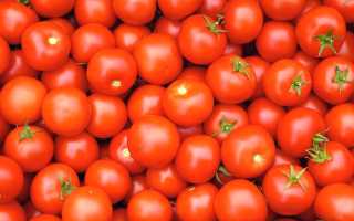 Помидоры при подагре: польза употребления и простые рецепты