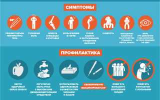 Грипп — причины, первые признаки и симптомы, лечение, осложнения вируса гриппа и профилактика