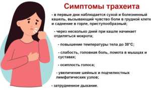 Трахеит у беременных — симптомы, лечение, осложнения