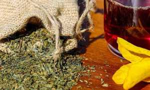 Какие травы нельзя при беременности