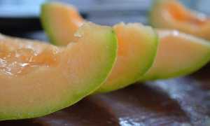 С какого возраста можно дыню детям: Комаровский