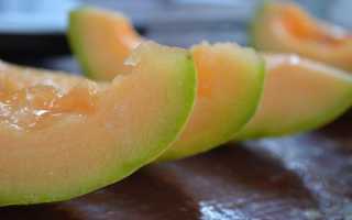 С какого возраста можно дыню детям: Комаровский