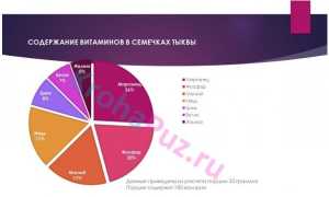 Семечки при грудном вскармливании: можно или нет, Комаровский, отзывы