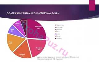 Семечки при грудном вскармливании: можно или нет, Комаровский, отзывы