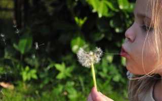 Зодак капли – инструкция по применению для детей