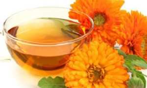Мазь календулы для молочнице