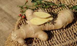 Имбирь при грудном вскармливании: Комаровский, отзывы с форумов