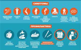 Профилактика гриппа и ОРВИ, какие лучшие способы защиты от заражения вирусными инфекциями?