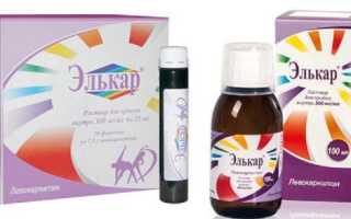 Элькар – инструкция по применению для детей