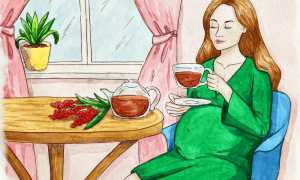 Можно ли беременным пить иван чай и супер рецепт приготовления кипрея в домашних условиях