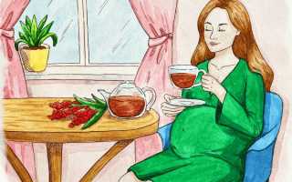 Можно ли беременным пить иван чай и супер рецепт приготовления кипрея в домашних условиях