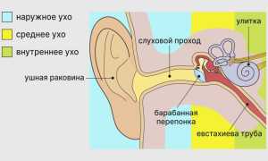 Евстахиит: причины, симптомы, лечение