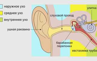 Евстахиит: причины, симптомы, лечение