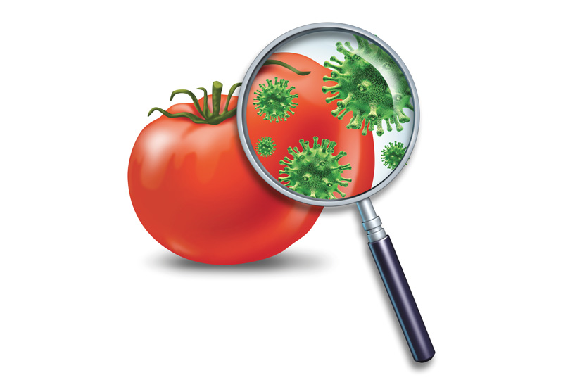 на помидоре микробы