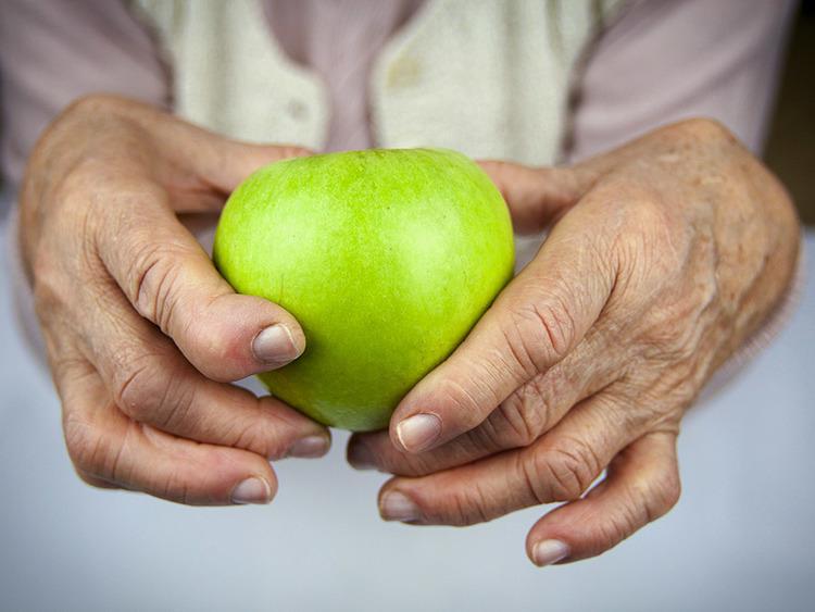 Рациональное питание