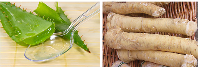 Сок алоэ и корень хрена при растяжении связок колена