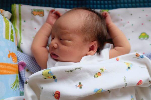 новорожденный комок