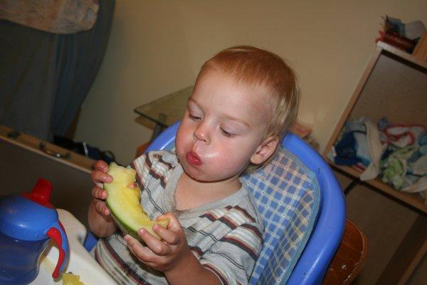 Дыня для прикорма