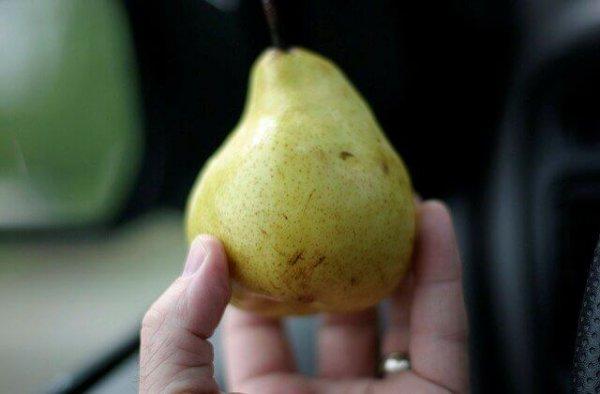 Как выбрать грушу