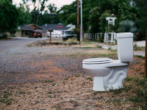 Придорожный туалет