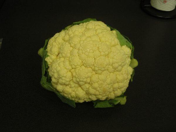 цветная капуста для прикорма