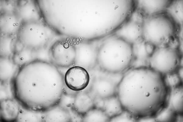 желточный мешок по неделям