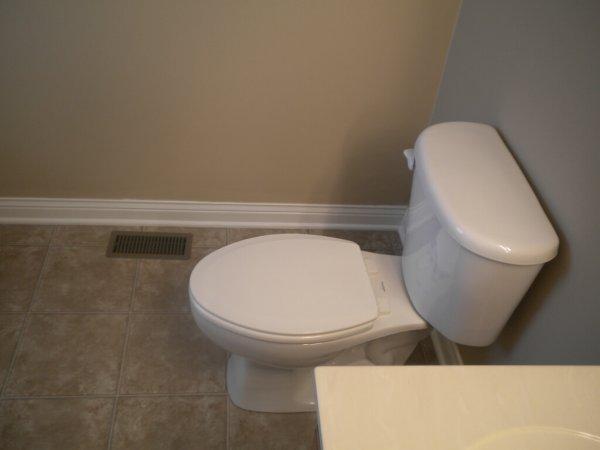 перед приучением к горшку