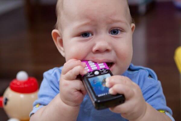 грызет телефон