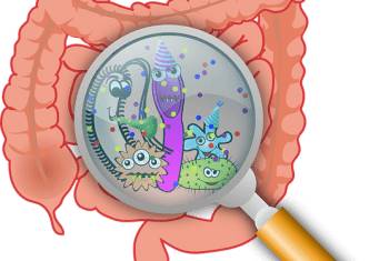 Пробиотики против дисбактериоза