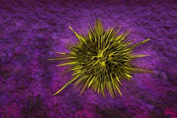 Бактерии при насморке