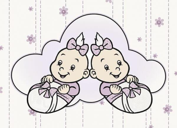 монохориальная моноамниотическая двойня