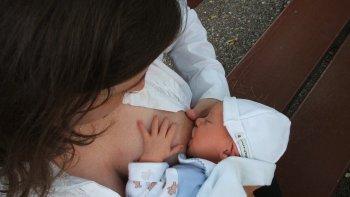 Оциллококцинум кормящим