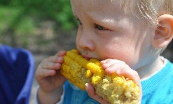 Питание и режим дня в 10 месяцев