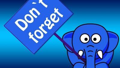 слон с табличкой