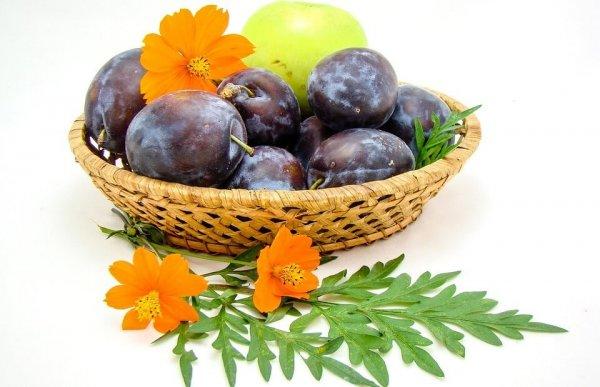 Правила употребления слив