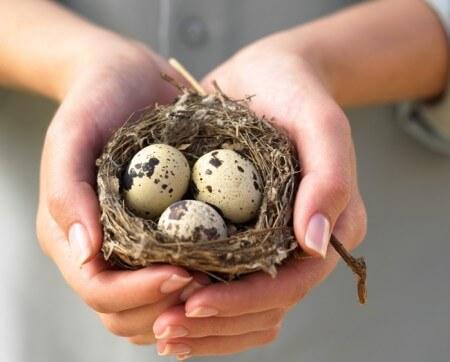 можно ли кормящим майонез