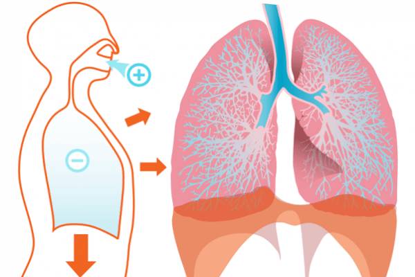 Применение биопарокса