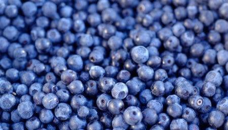 Можно чернику на грудном вскармливании