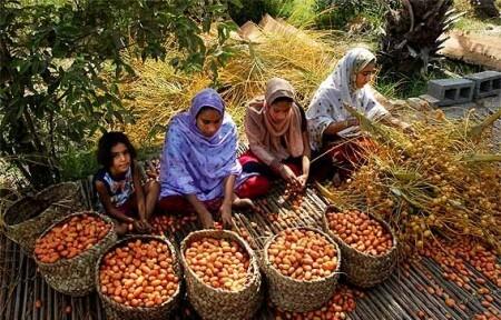 Можно ли финики при грудном вскармливании