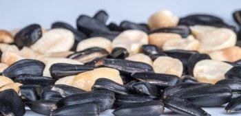 Семечки и изжога