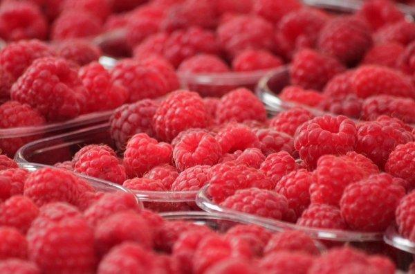 Малина при ГВ