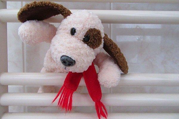 Игрушки для ребенка 10 месяцев