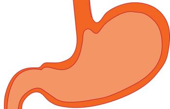 боли в животе